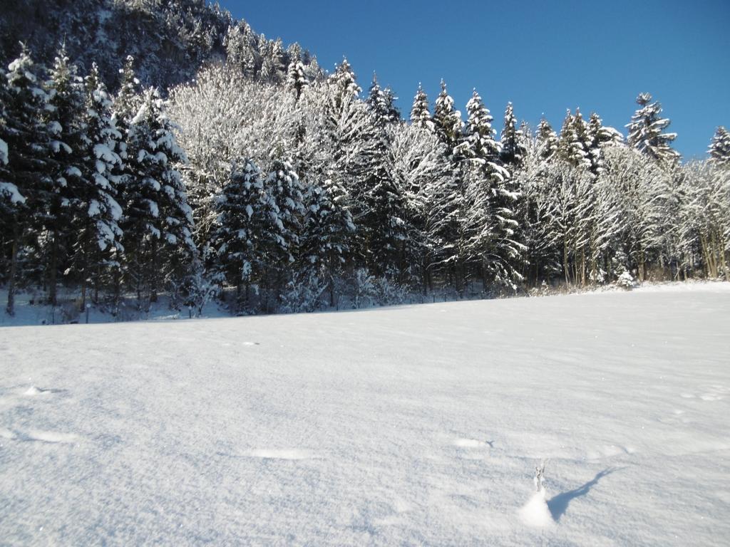 Ferienwohnung Zillertal Bacher Schlitters Dış mekan fotoğraf